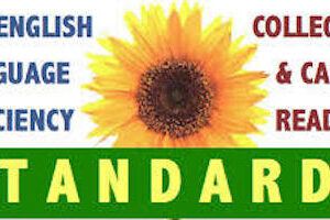 Needs Analysis for Academic Institutes